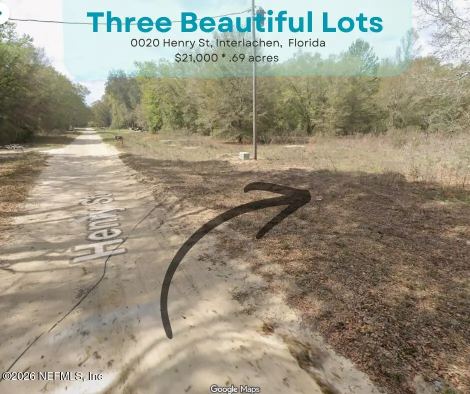 0020 Henry Street, Interlachen, FL 32148 - #1