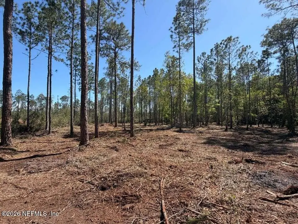 0 SE 125th Street, Starke, FL 32091 - #1