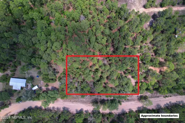 0 Caribbean Street, Interlachen, FL 32148