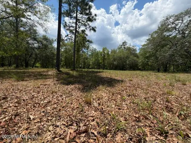 6015 Plantation Court, Keystone Heights, FL 32656 - #2