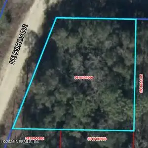 TBD NE 11th Street, Williston, FL 32696 - #3