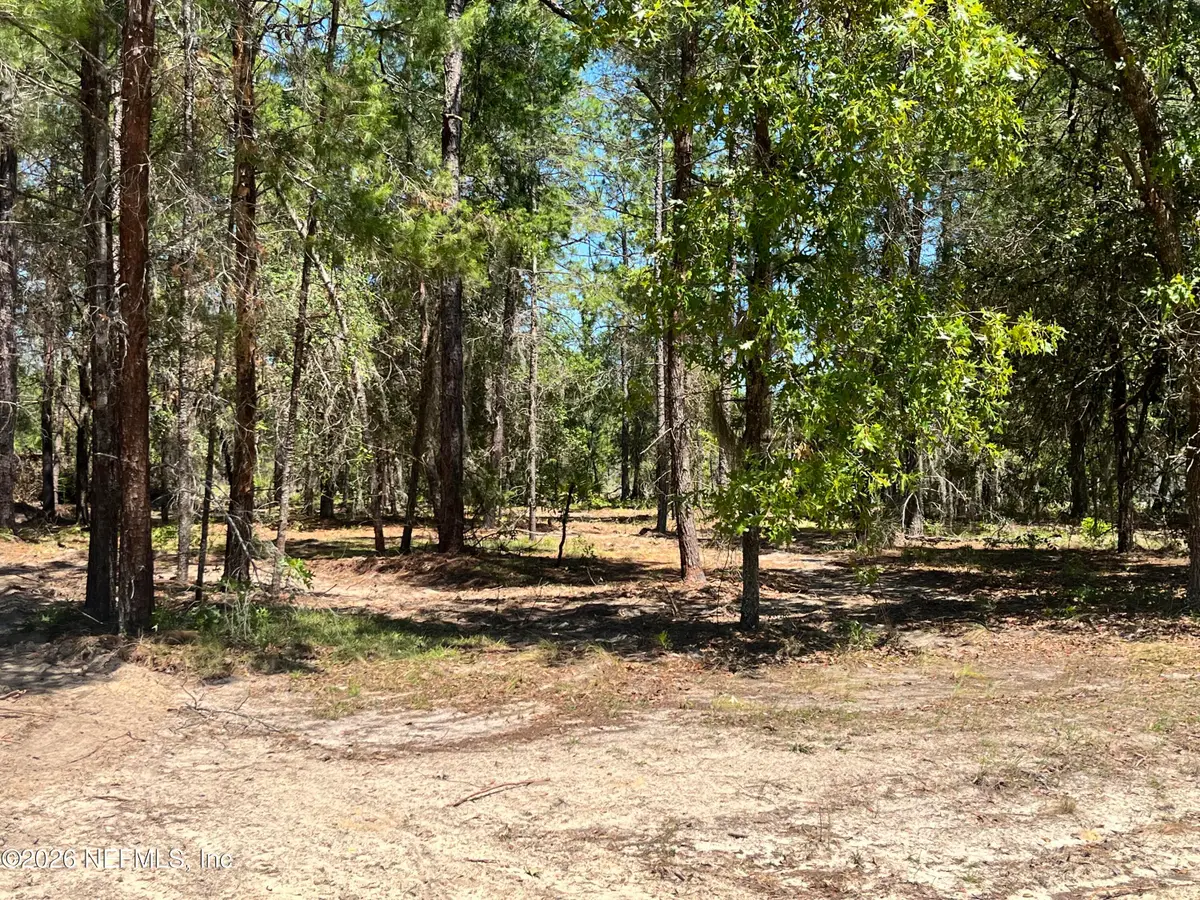 219 Magnolia Road, Hawthorne, FL 32640 - #1