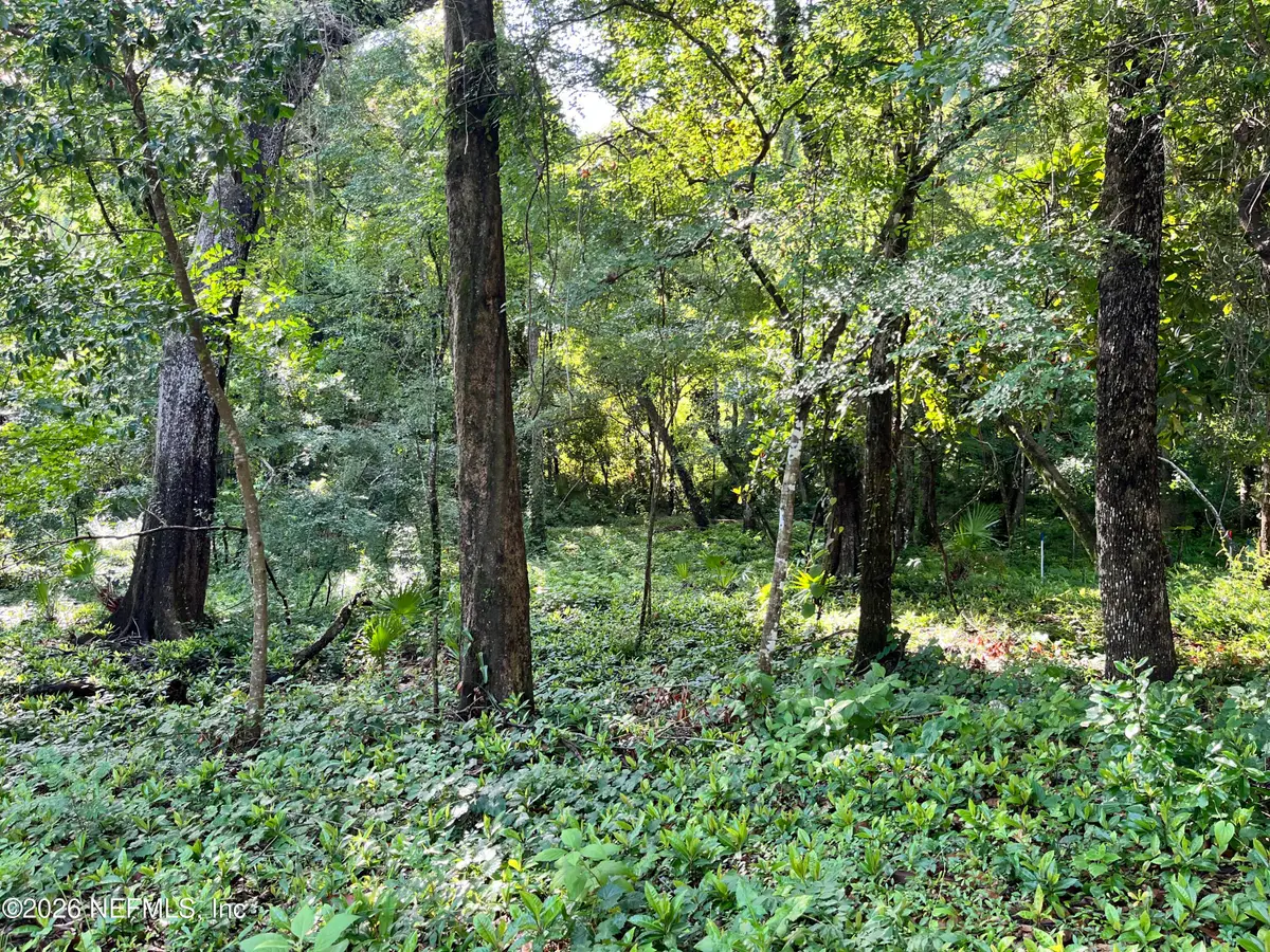 0 Myron Court, Saint Johns, FL 32259 - #1