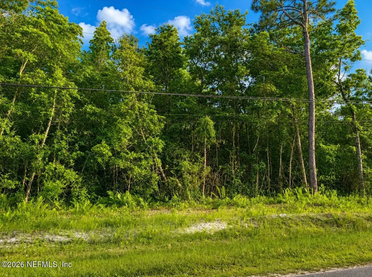 4311 Angora Street, Middleburg, FL 32068 - #1