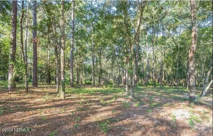 4843 Alligator Boulevard, Middleburg, FL 32068 - #1