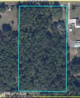 4843 Alligator Boulevard, Middleburg, FL 32068 - #2