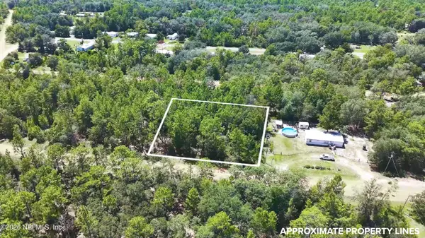 0 Lot 27 Neisman Avenue, Interlachen, FL 32148