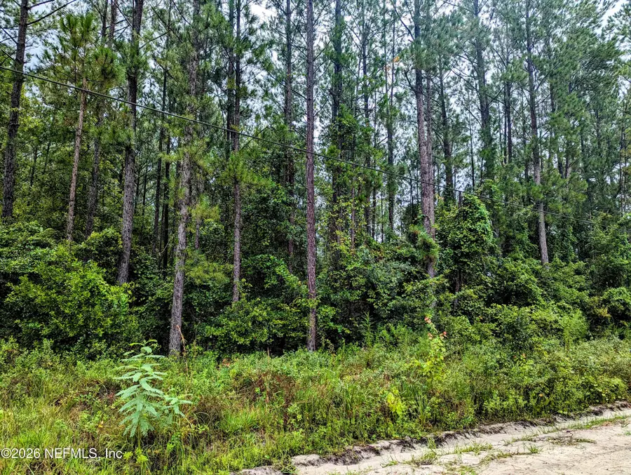 4436 Lori Loop Road, Keystone Heights, FL 32656 - #2
