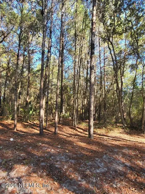 00 Beulah Church Road, Crescent City, FL 32112 - #3