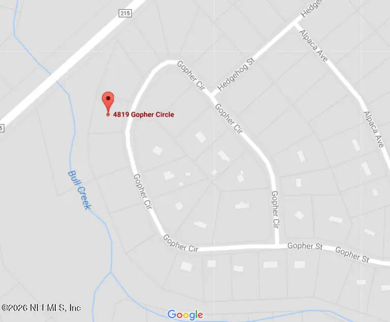 4819 Gopher Circle, Middleburg, FL 32068 - #3