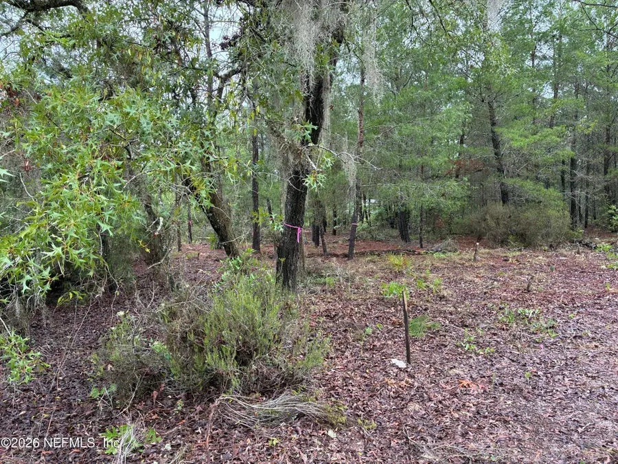 204 Glasgow Street, Interlachen, FL 32148 - #2