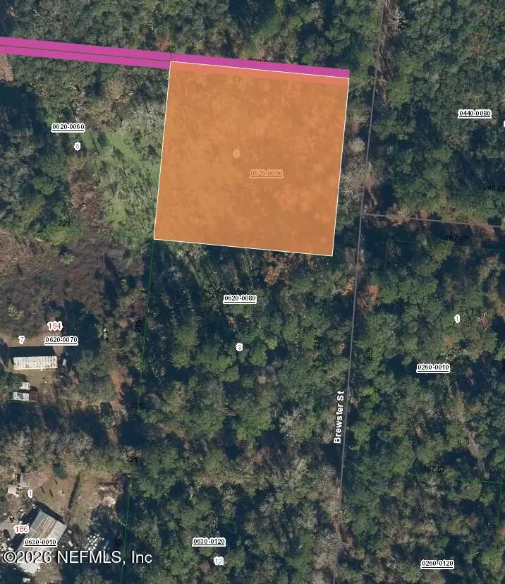 115 Brewster Street, Satsuma, FL 32189 - #1