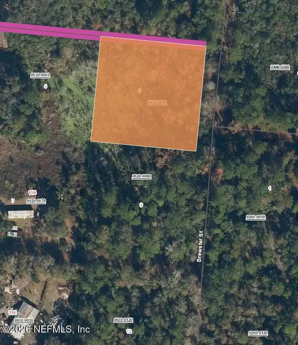 115 Brewster Street, Satsuma, FL 32189
