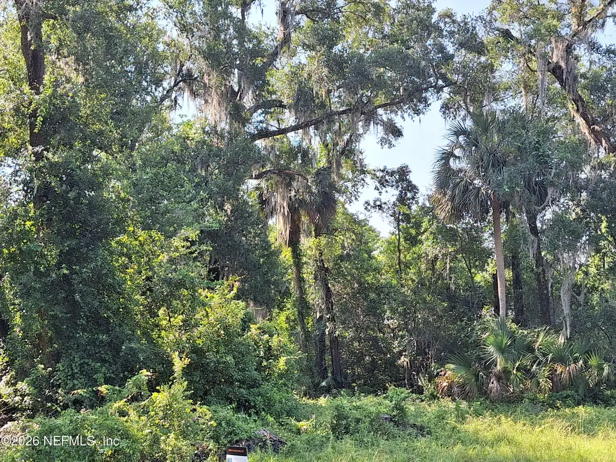 102 Lake Ida Point Drive, Interlachen, FL 32148 - #1