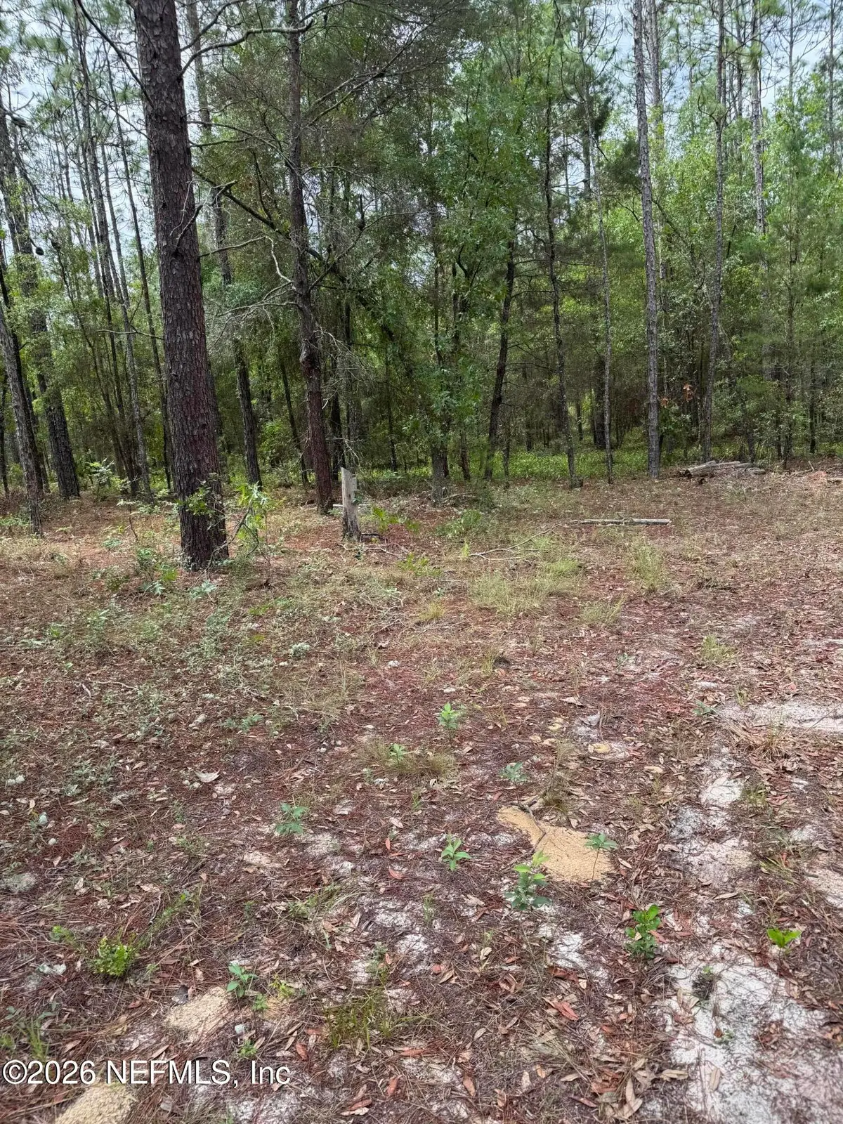 4477 M Lake Road, Keystone Heights, FL 32656 - #1