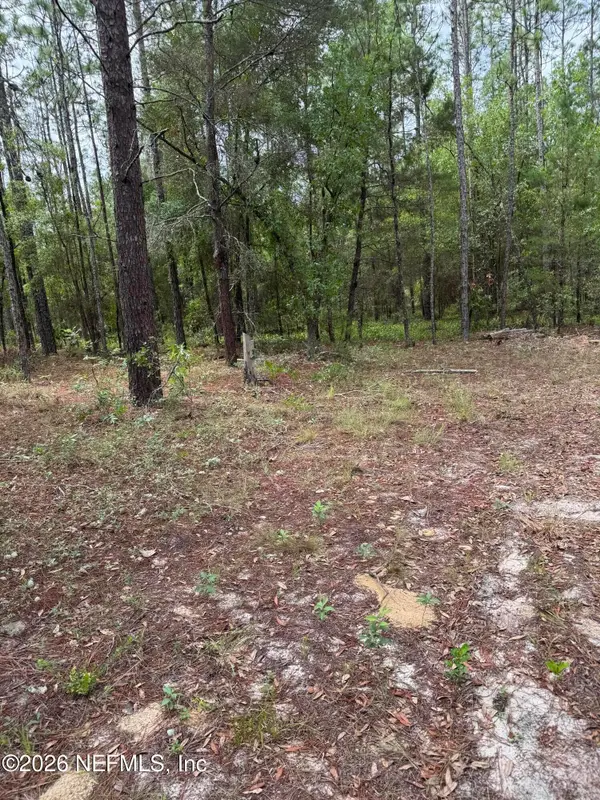 4477 M Lake Road, Keystone Heights, FL 32656