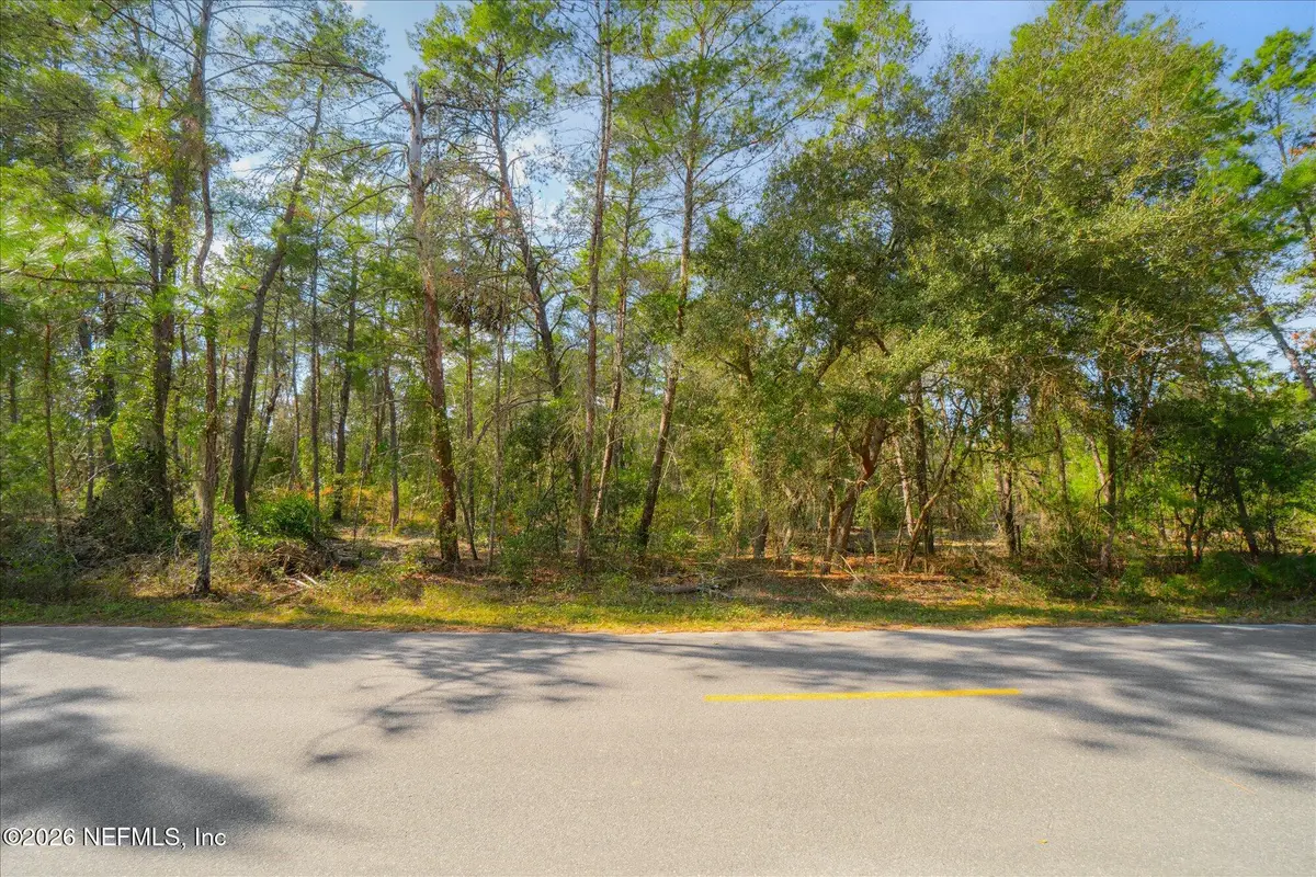 1027 Pineapple Street, Welaka, FL 32181 - #1