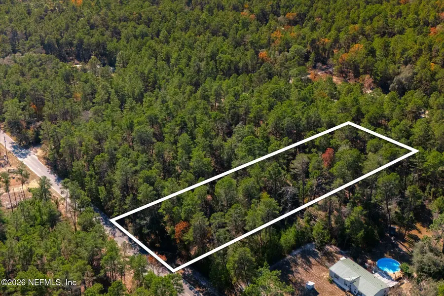 1027 Pineapple Street, Welaka, FL 32181 - #3