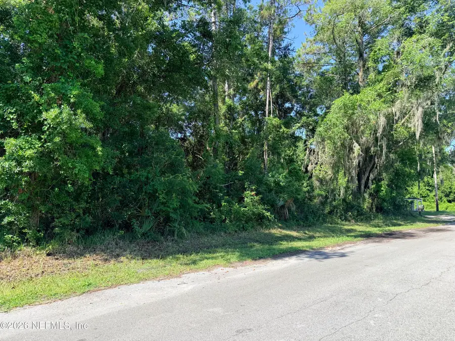 115 Harris Street, Palatka, FL 32177 - #3