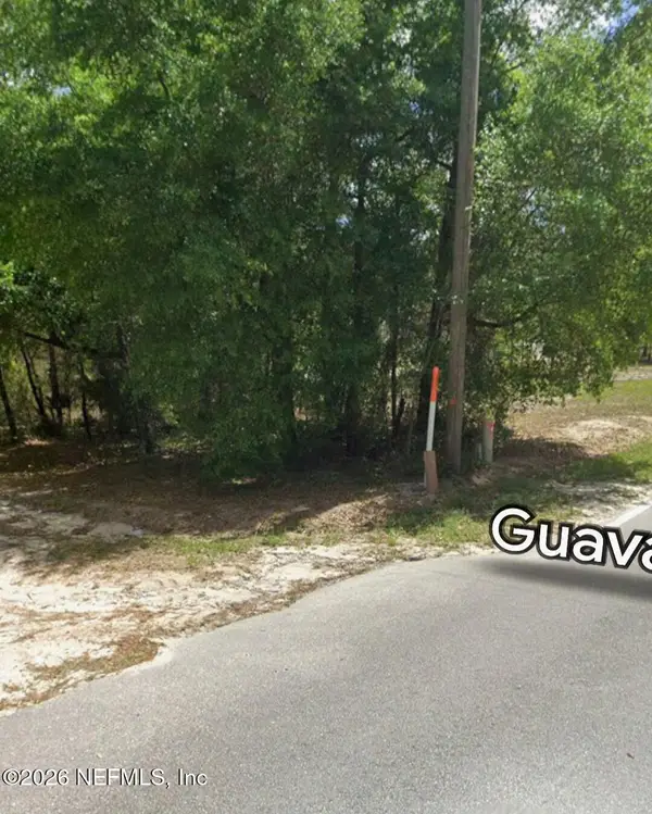 202 Guava Avenue, Pomona Park, FL 32181