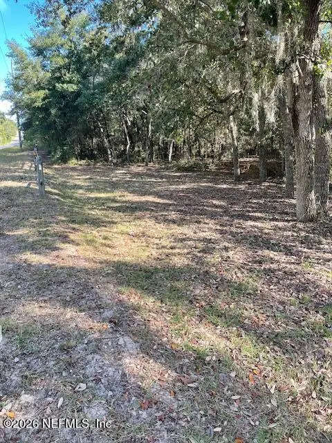 202 Guava Avenue, Pomona Park, FL 32181 - #3
