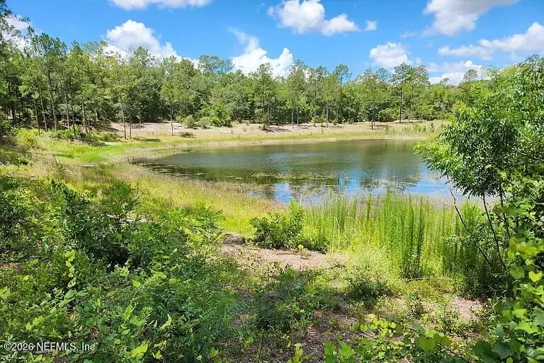 4534 Alan Lake Road, Keystone Heights, FL 32656 - #1