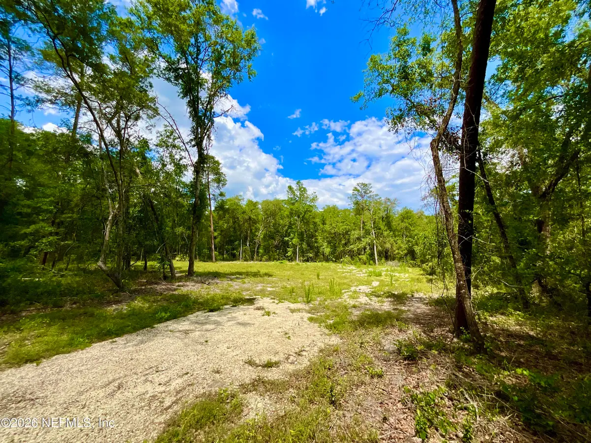 952 S Co Rd 21, Hawthorne, FL 32640 - #1