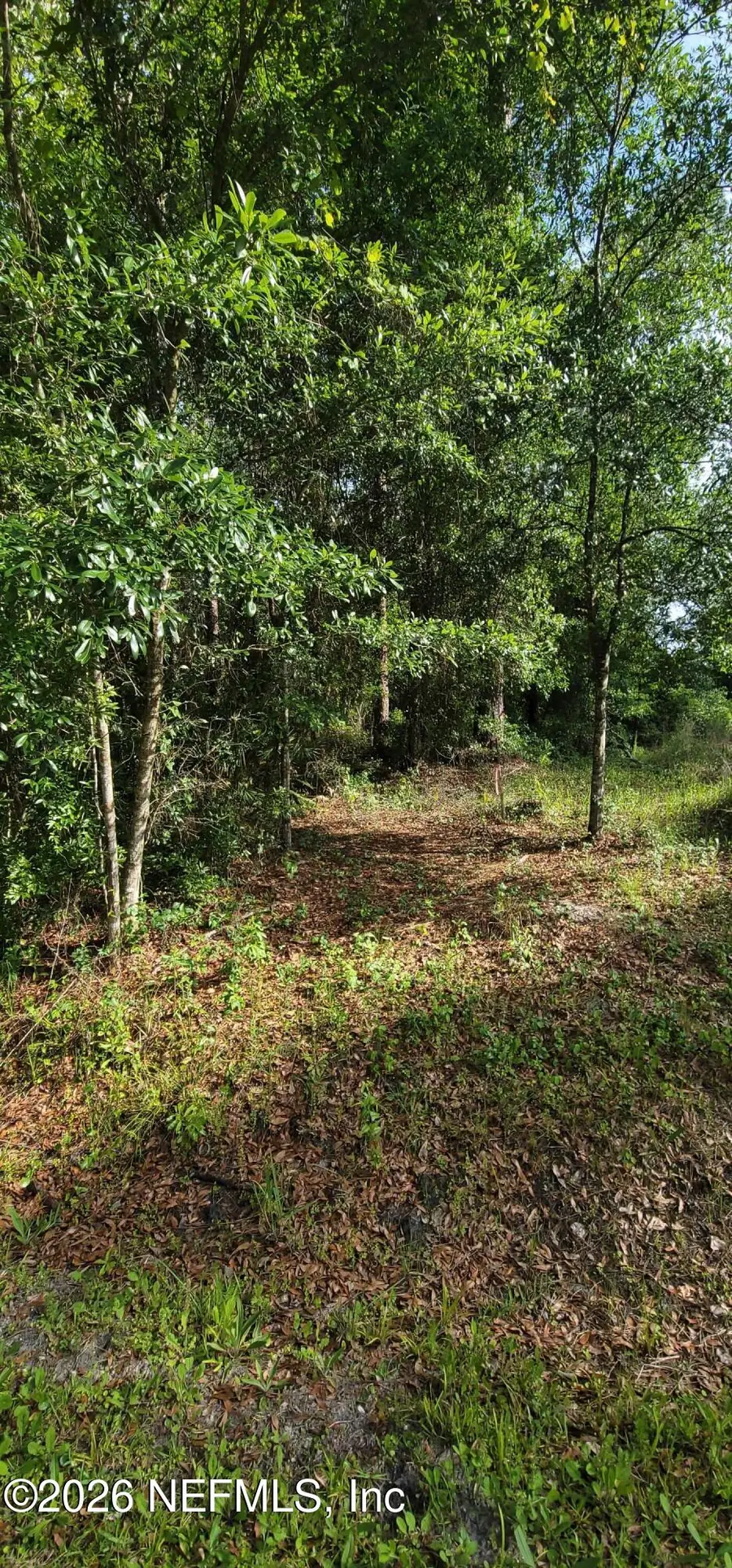 0 Maryland Avenue, Jacksonville, FL 32234 - #3