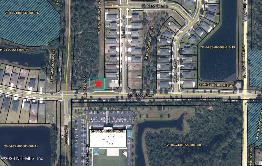 4679 Oak Moss Loop, Middleburg, FL 32068 - #2