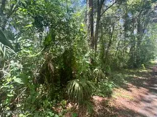 205 Washington Avenue, Green Cove Springs, FL 32043 - #1
