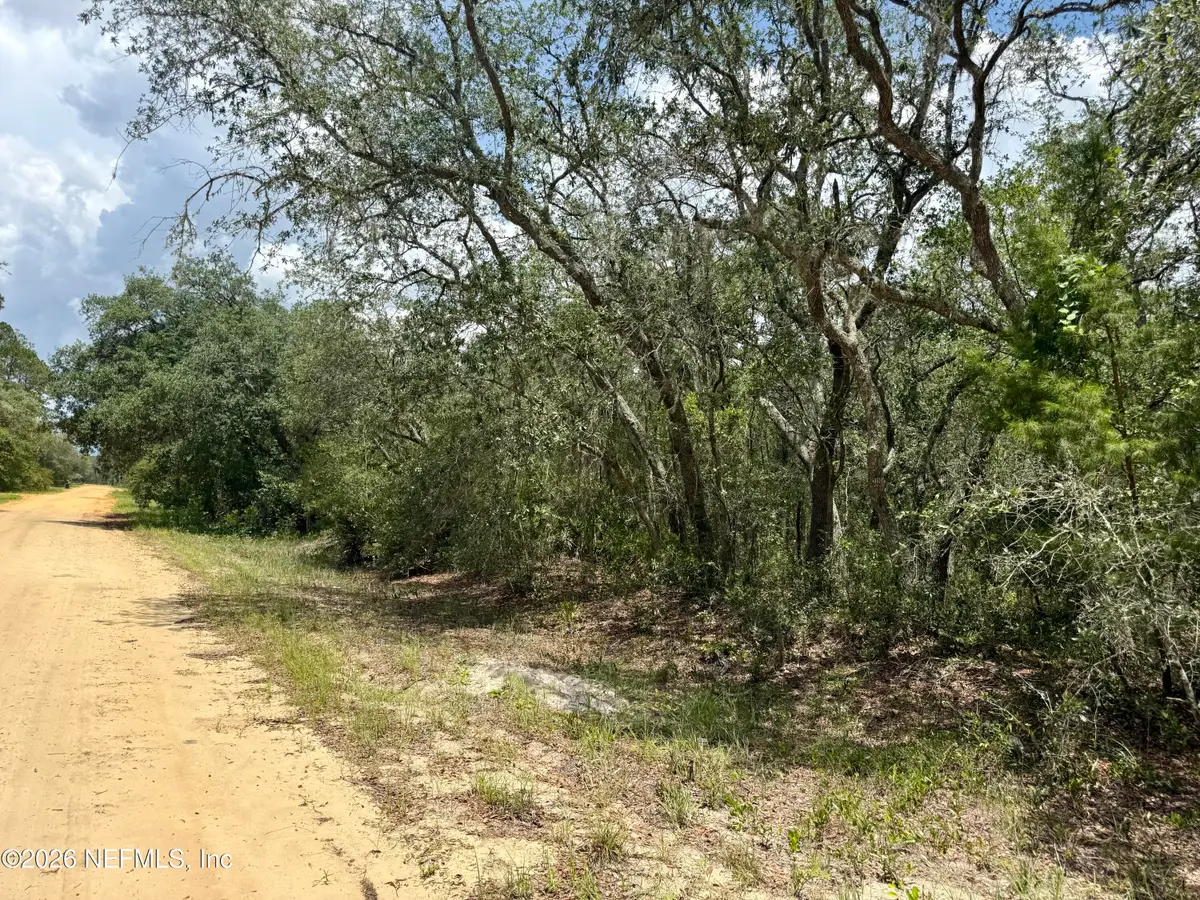 XXX Wallace Street, Interlachen, FL 32148 - #1