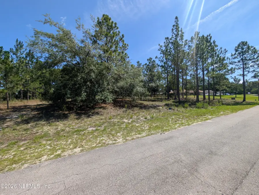 4200 Mail Coach Court, Middleburg, FL 32068 - #2