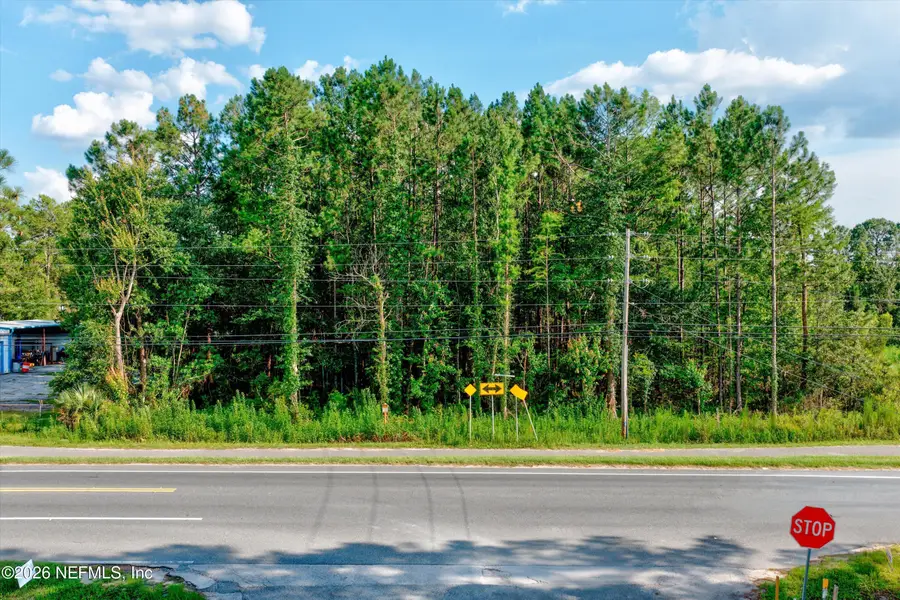 4393 County Road 218, Middleburg, FL 32068 - #2