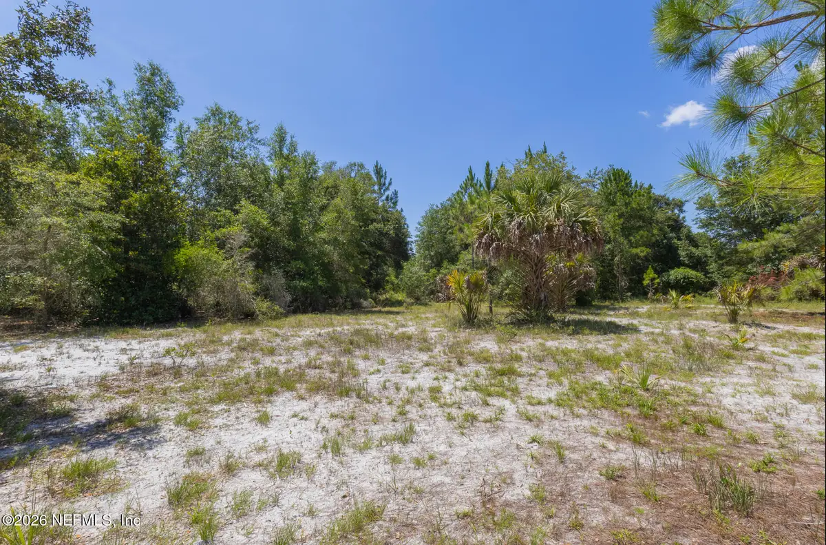 133 Landvale Street, Georgetown, FL 32139 - #1