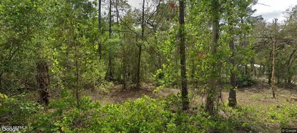 105 Pinetree Street, Pomona Park, FL 32181