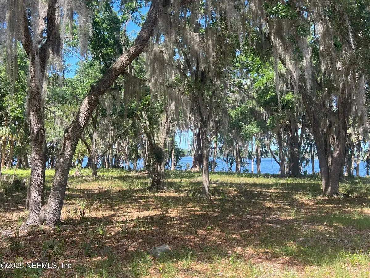 762 National Forest Road 75g Road, Palatka, FL 32177 - #1