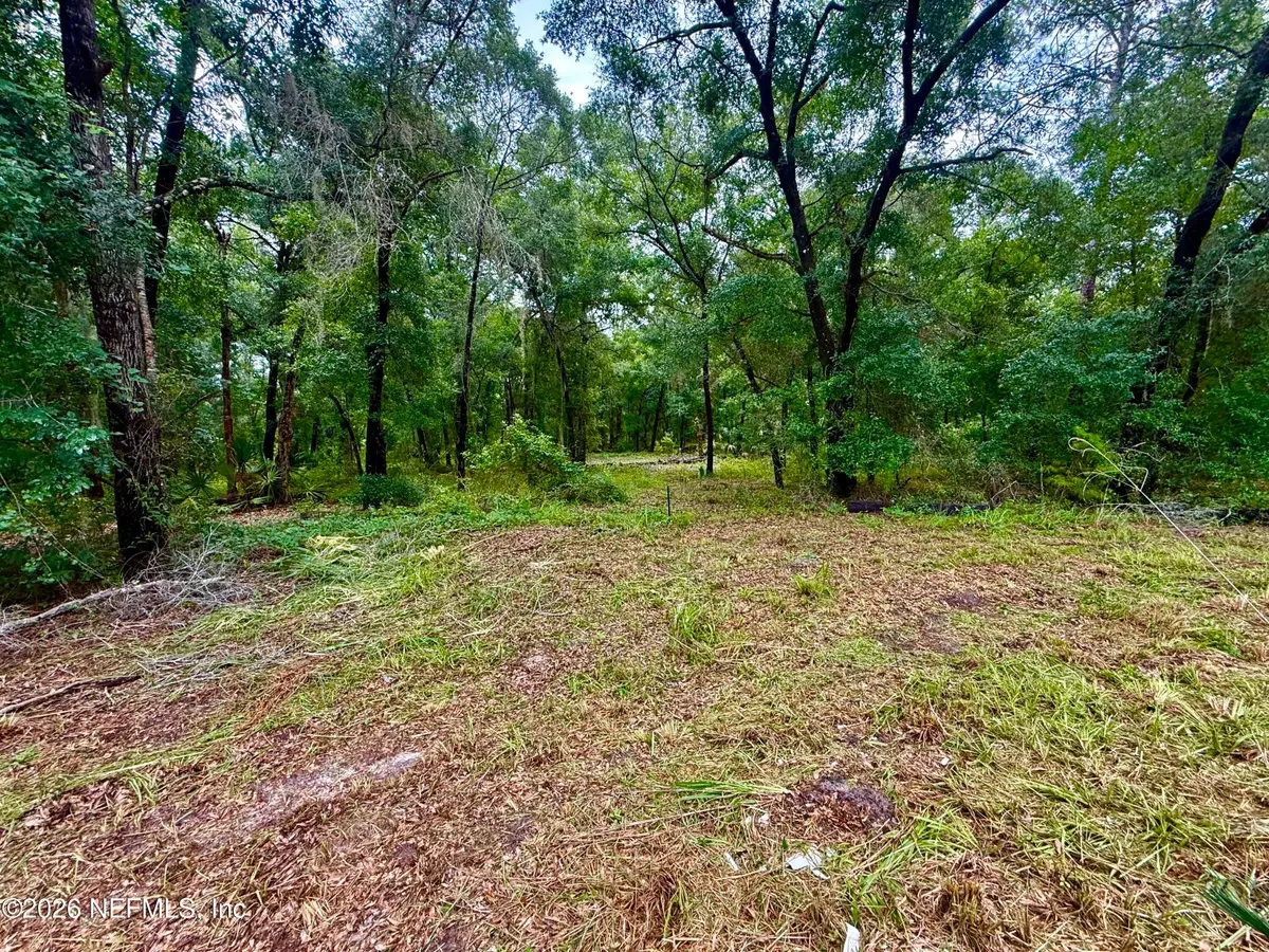 112 Peach Orchard Road, Pomona Park, FL 32181 - #1