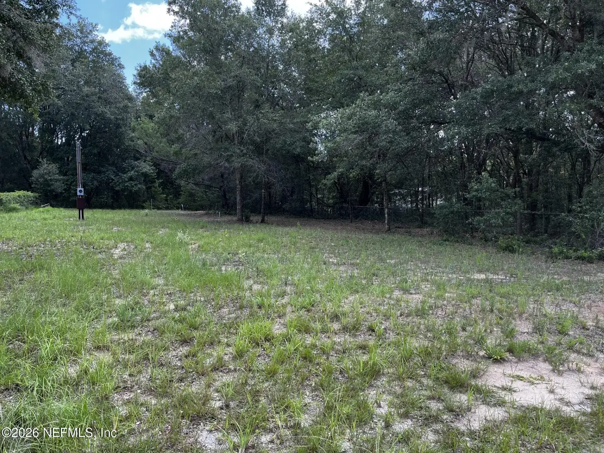 1018 Kitty Avenue, Interlachen, FL 32148 - #1