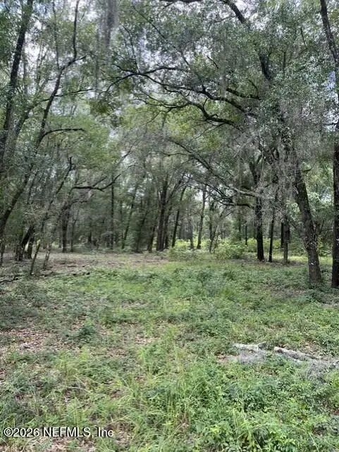 607 Cousintown Rd Road, Interlachen, FL 32148