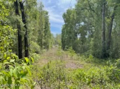 0 SE 46th Loop, Keystone Heights, FL 32656 - #2
