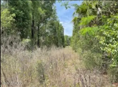 0 SE 46th Loop, Keystone Heights, FL 32656 - #3