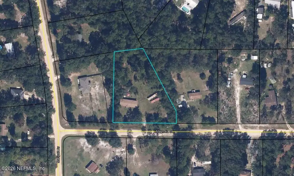 4534 Magnolia Street, Middleburg, FL 32068 - #1