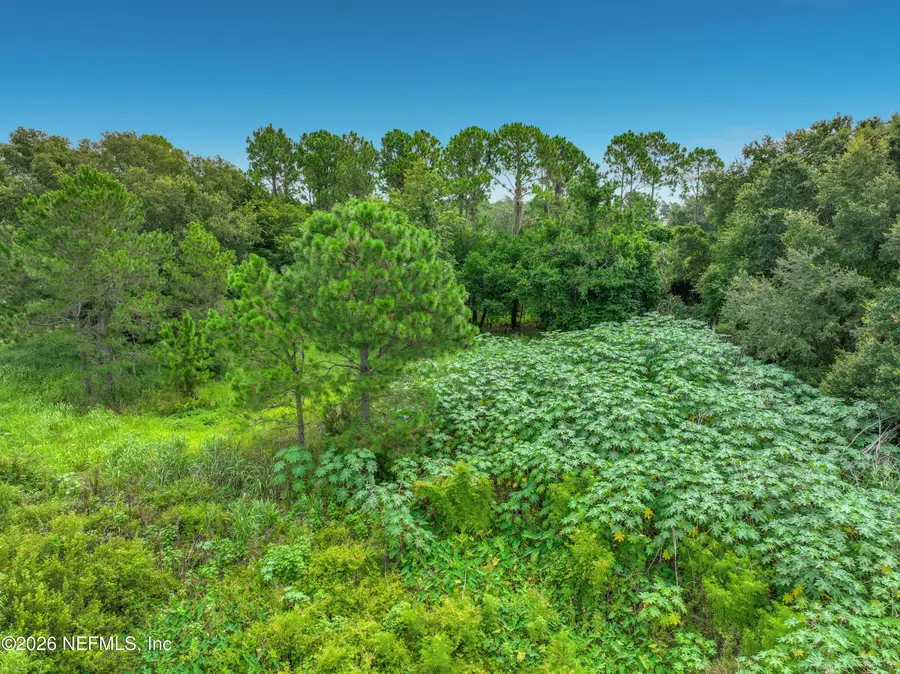 15401 Pendio Drive, Montverde, FL 34756 - #3