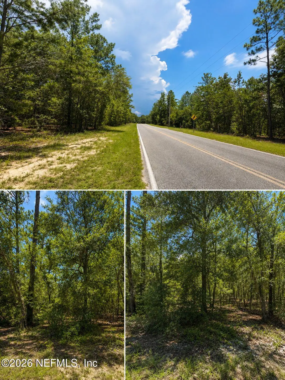507 & 509 Baden Powell Road Road, Hawthorne, FL 32640 - #1