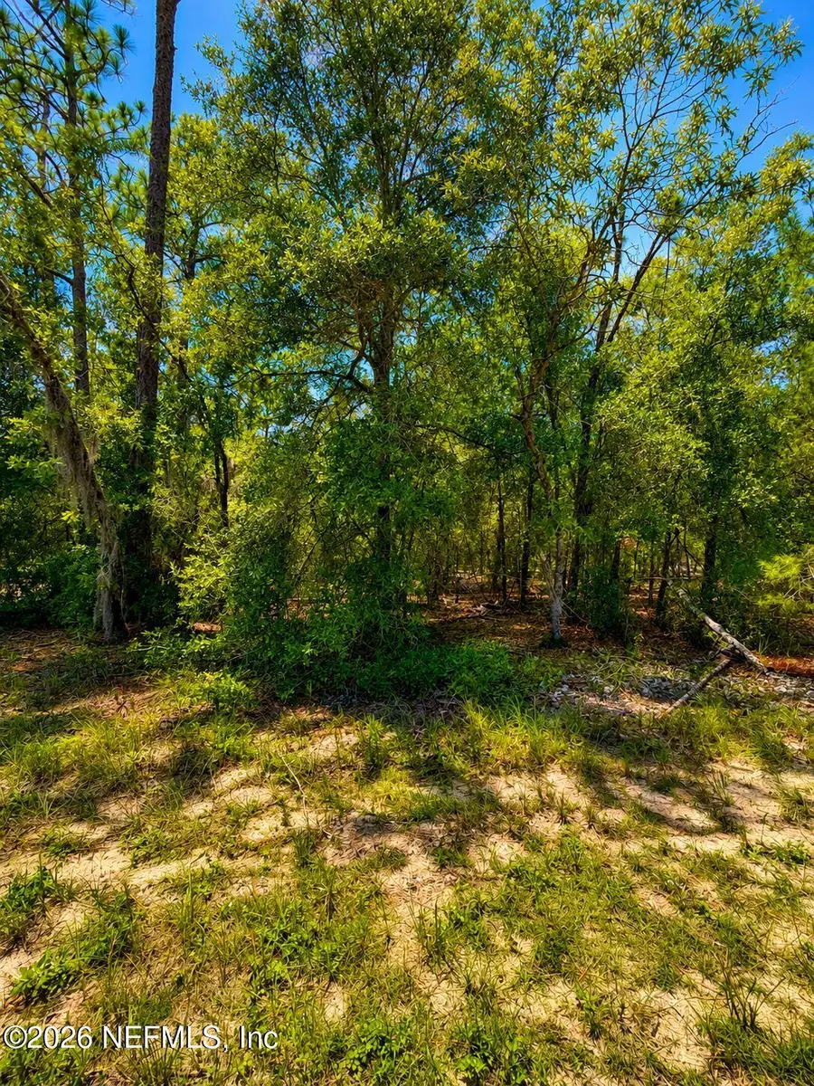 507 & 509 Baden Powell Road Road, Hawthorne, FL 32640 - #3