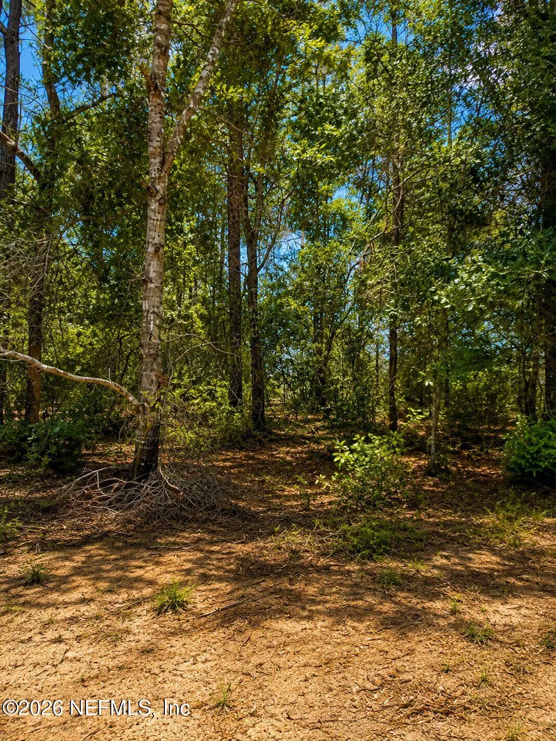 523 & 525 Baden Powell Road, Hawthorne, FL 32640 - #1