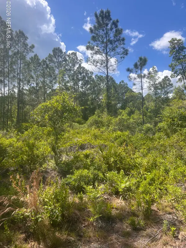 242 Lakeway Drive, Georgetown, FL 32139