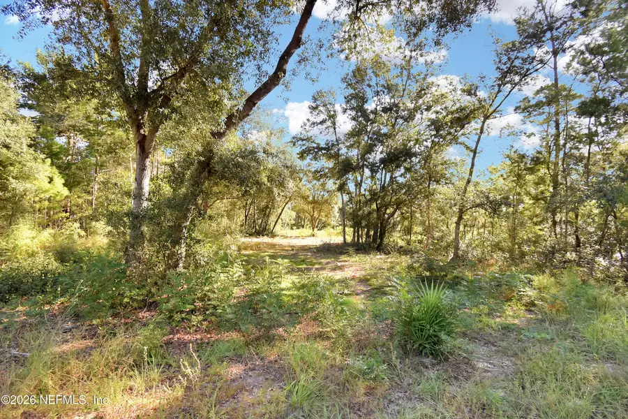 7455 Rye Court, Keystone Heights, FL 32656 - #2
