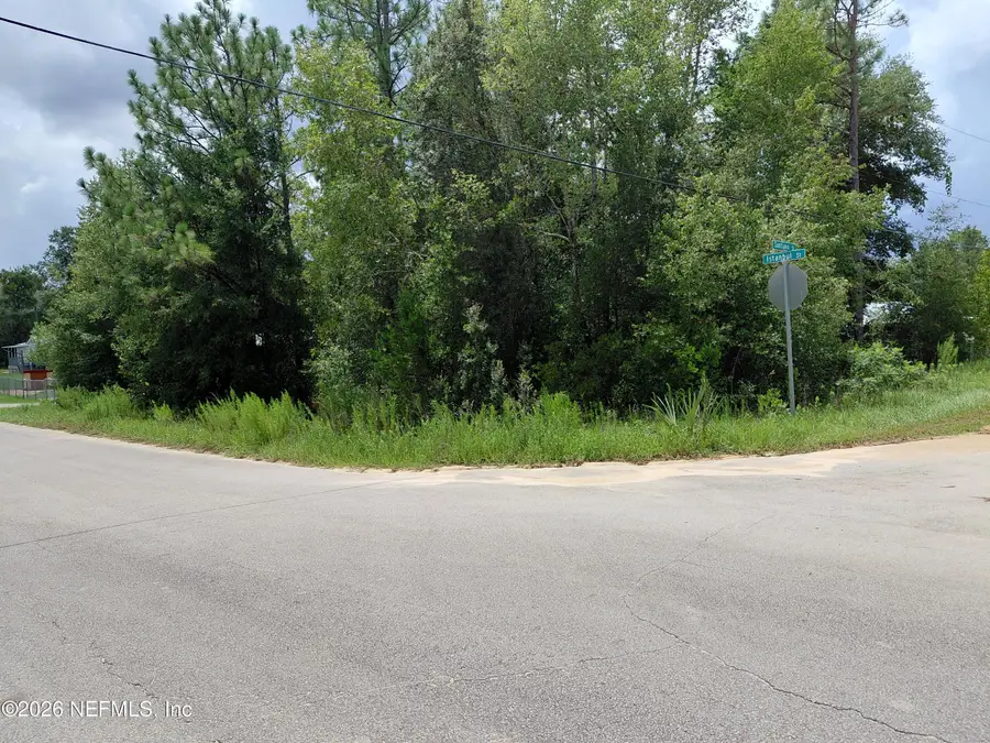 TBD Istanbul Street, Interlachen, FL 32148 - #3