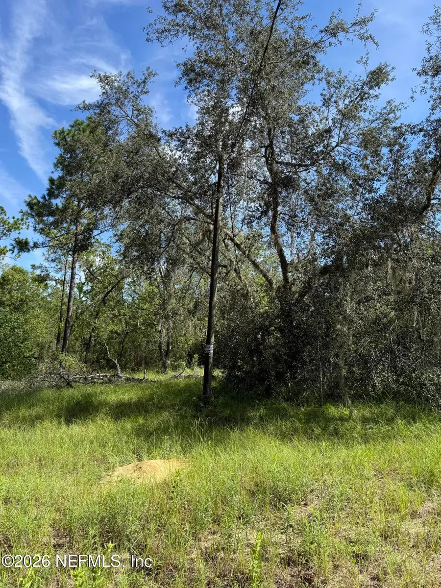 116 Lima Street, Interlachen, FL 32148 - #3